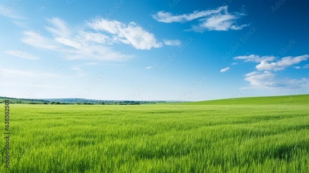 Green field and blue sky