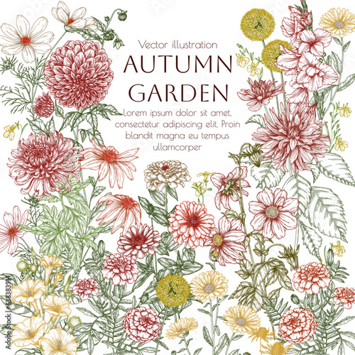 Vector frame autumn garden. Dahlia, cosmos, zinnia, marigold, calendula, rudbeckia, gladiolus, datura, eryngium, allium, chrysanthemum, lobelia in engraving style