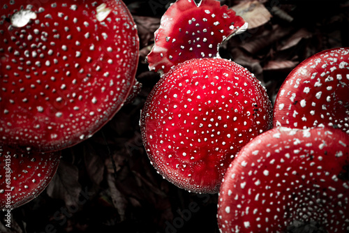 red mushrooms