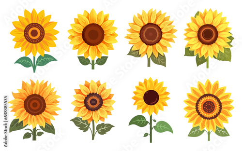 Sunflower Hand Drawn Illustration set, Decorative Element