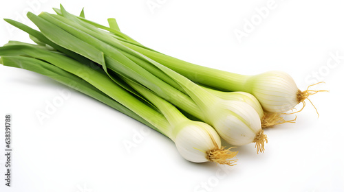 Leek on white background