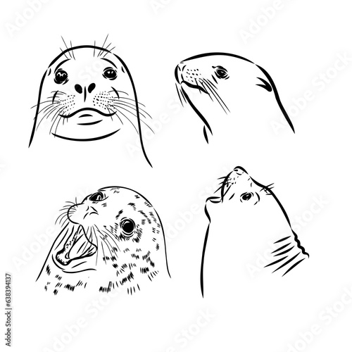 Sketch of a seal on a stone. Hand drawn sketch converted to vector