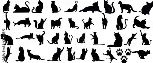 Fotografiet Une collection élégante de silhouettes de chats vectoriels noirs et blancs sur un fond blanc