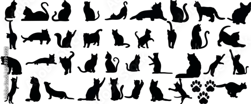 Obraz Une collection élégante de silhouettes de chats vectoriels noirs et blancs sur un fond blanc. Parfait pour les amoureux des animaux de compagnie, les designers et les artistes.