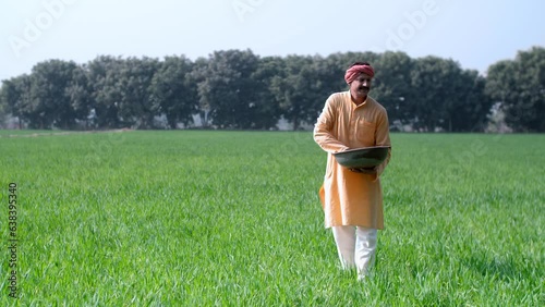 Farmer working in his field -  putting urea  use of chemical fertiliser into his crops  Indian farming  rural life  toxic chemicals . Farmer  putting fertiliser into the crops in harsh sunlight - t... photo