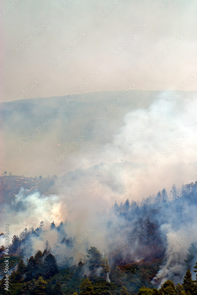 Forest fire in Greece // Waldbrand in Griechenland