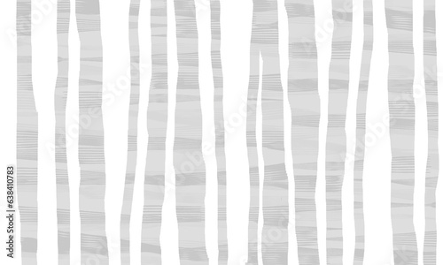 白樺林（白）のストライプ柄 photo