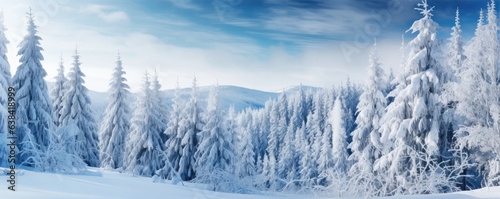 panoramic photo of the trees covered with snow in the snowland  copy space for text