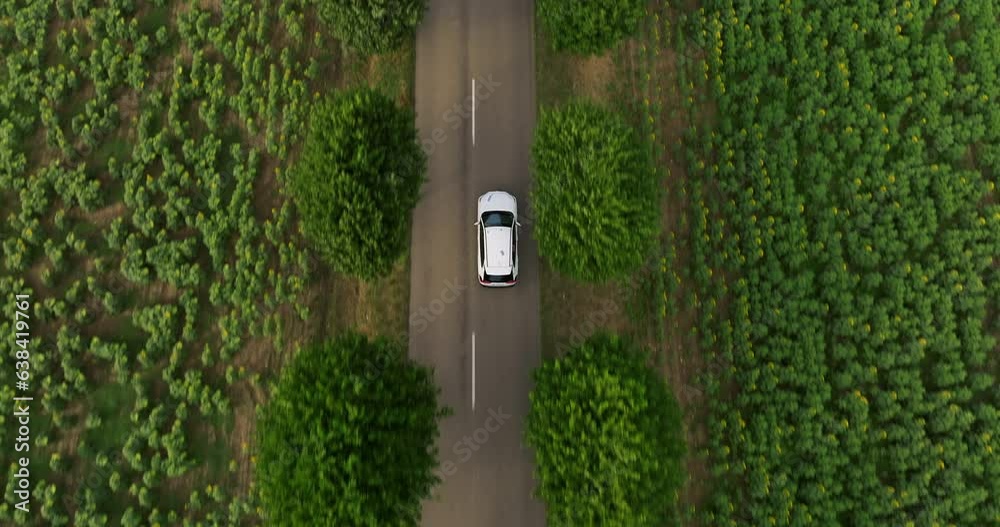 Aerial view Electric Car Driving on Country Road. Luxury modern vehicle riding fast along trees and fields. Cinematic drone shot flying over road with trees at sunset. Establishing shot travel trip