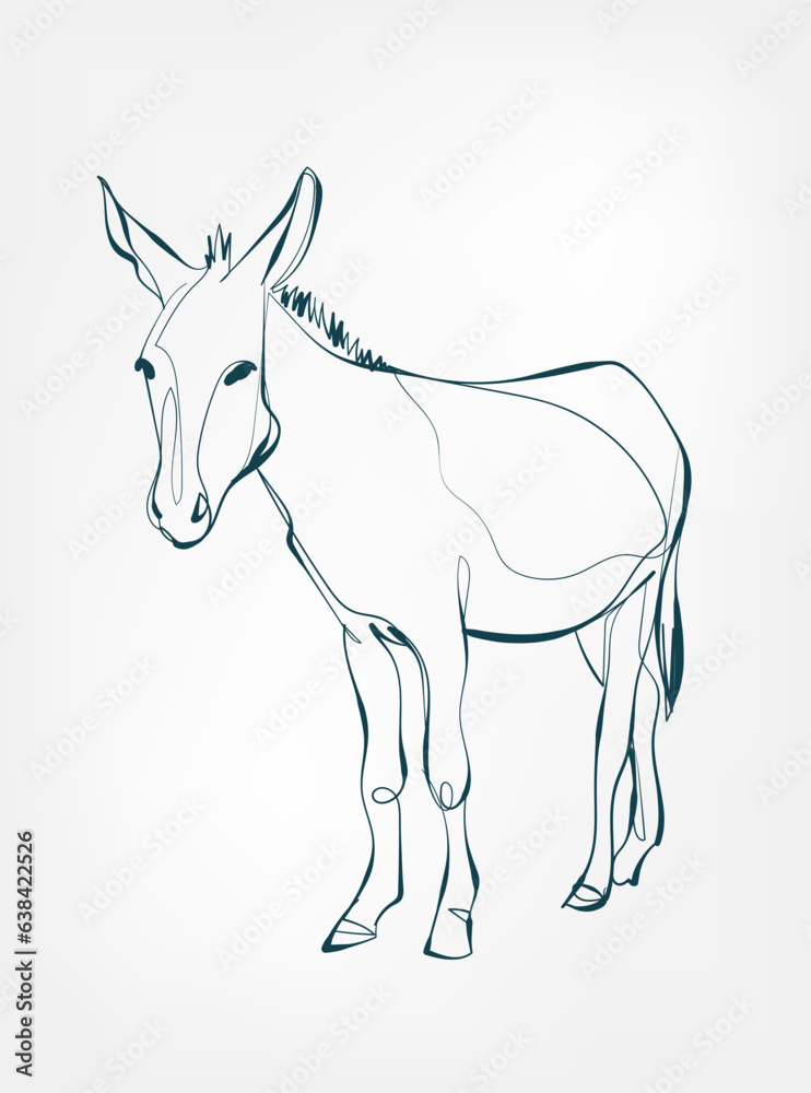 Fototapeta premium donkey vector line art animal wild life single one line hand drawn illustration isolated