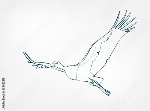 stork vector line art animal wild life single one line hand drawn illustration isolated