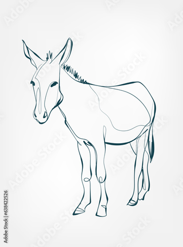donkey vector line art animal wild life single one line hand drawn illustration isolated