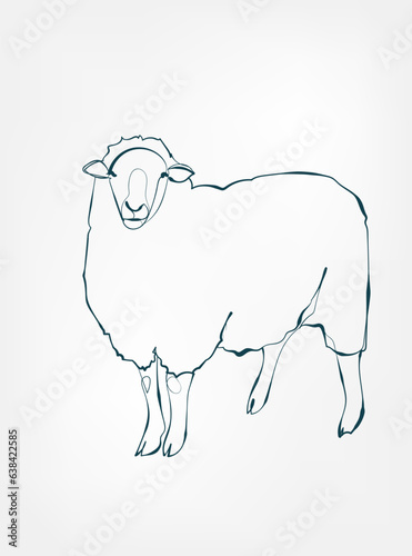 sheep vector line art animal wild life single one line hand drawn illustration isolated