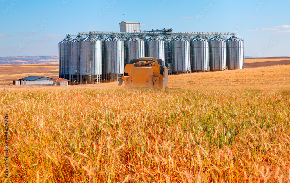 Combine harvester harvesting wheat field - Agricultural Silos for storage and drying of grains, wheat, corn, soy, sunflower Combine harvester harvesting wheat field - Agricultural Silos for storage and drying of grains, wheat, corn, soy, sunflower