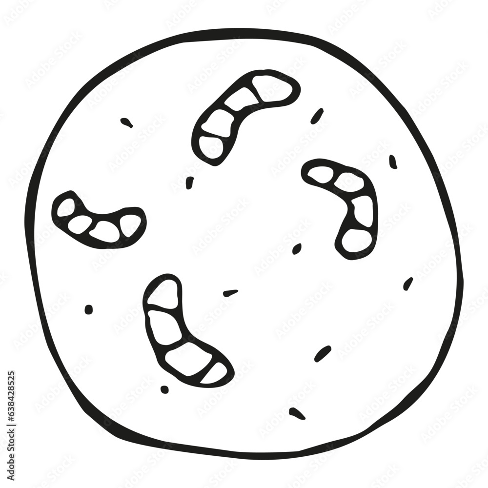 Biology microorganism vector doodle illustration disease petrei dish micribiology laboratory Biology microorganism vector doodle illustration disease petrei dish micribiology laboratory