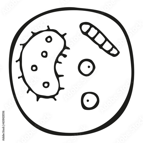 Biology microorganism vector doodle illustration petri dish micribiology laboratory