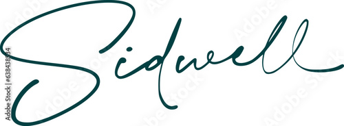 signature series S design illustration