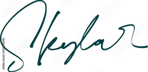 signature series S design illustration