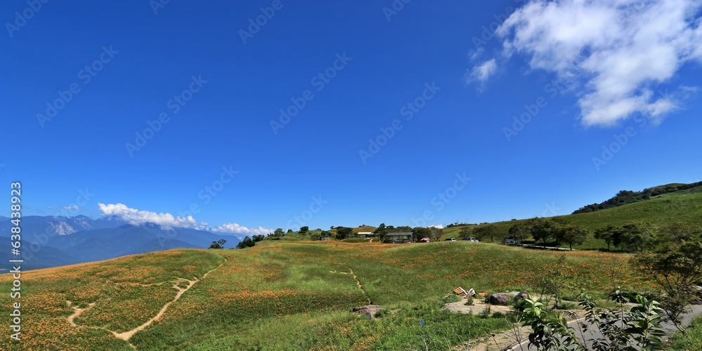 Sixty Stone Mountain Daylily Landscape