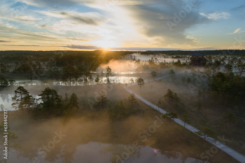 Viru swamp on an early foggy summer morning at dawn  drone photo.