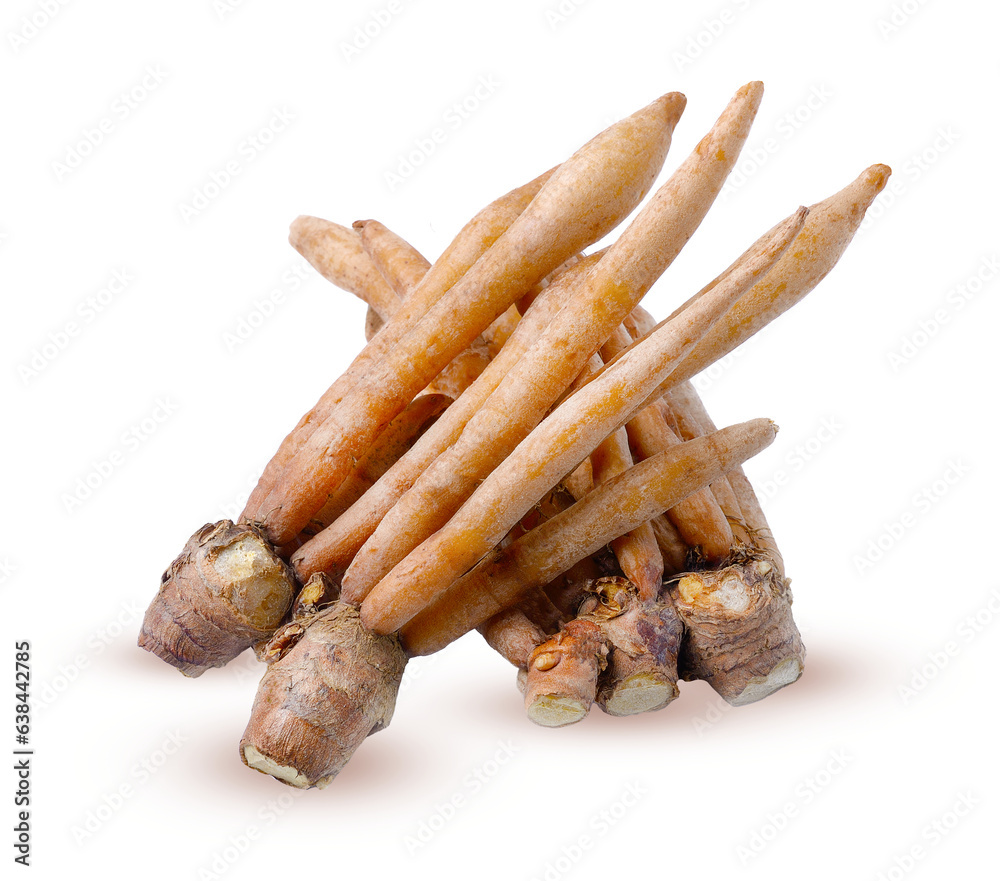 Fingerroot, Kaempfer, Boesenbergia on white background on transparent. Fingerroot, Kaempfer, Boesenbergia on white background on transparent.