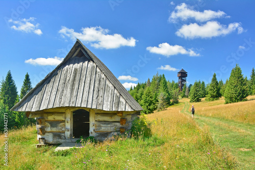 Fototapeta Naklejka Na Ścianę i Meble -  Female tourist with a backpack is hiking on a mountain trail to the lookout wooden tower on Magurki peak in Gorce mountains, Poland. Summer sunny day in mountains.
