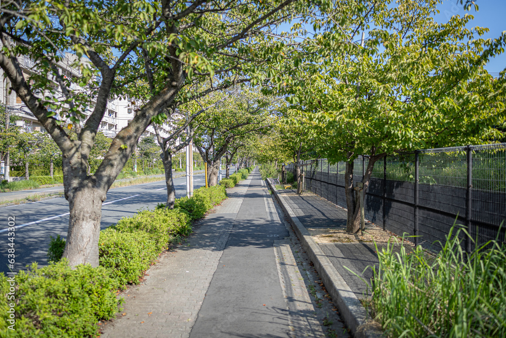 緑に囲まれた歩道