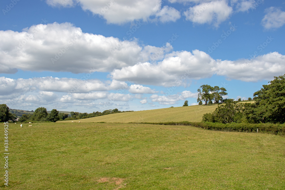 Summertime landscape in the UK. Summertime landscape in the UK.