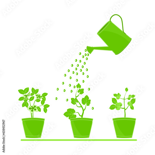 
Watering can and plants in pot. Garden watering can irrigation plants. Three flowerpot with different potted flowers irrigate from water container. Growing plants and irrigation. Vector illustration