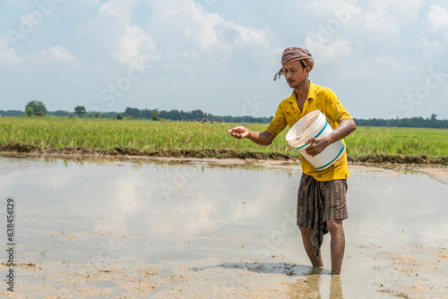 Rural farmer scattering seeds in the paddy field