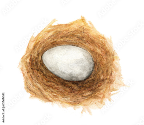 Watercolor painting of Egg in the nest.