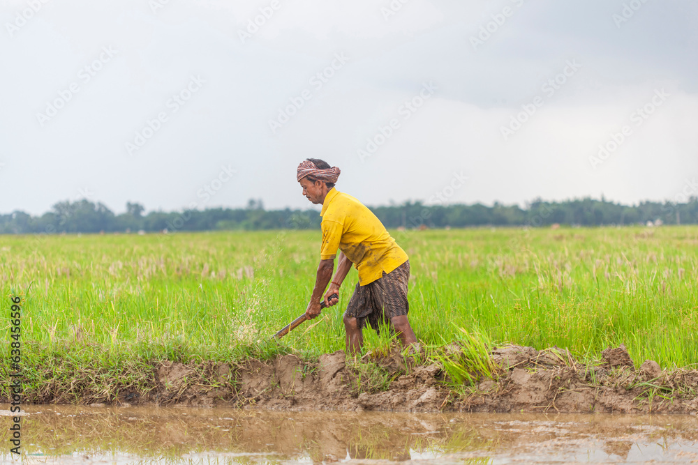 rural poor farmer working on a farming land