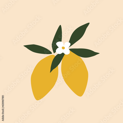 Lemon branch with white flower hand drawn vector illustration. Isolated citrus fruit in flat style for poster, icon or logo