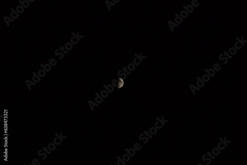 Gobba in alto luna crescente, gobba in basso luca calante © Silvano