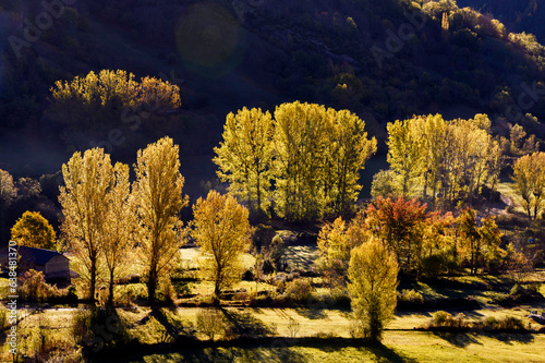 Automne en vallée de chistau photo