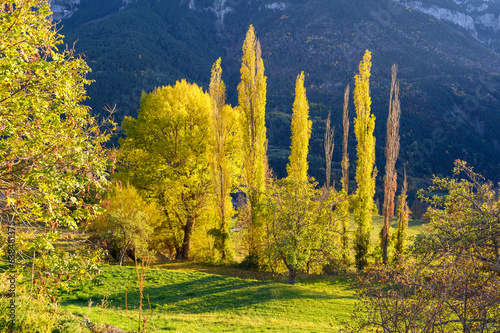 Automne en vallée de chistau photo