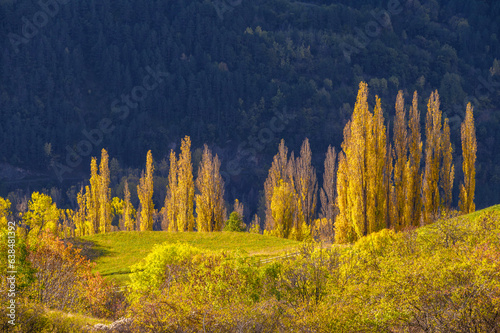 Bild auf Leinwand Automne en vallée de chistau