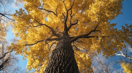 yellow and blue abstract autumn tree