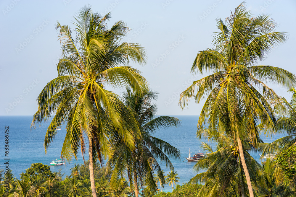 Coconut palms in morning sunlight against blue sea horizon on Koh Tao Island