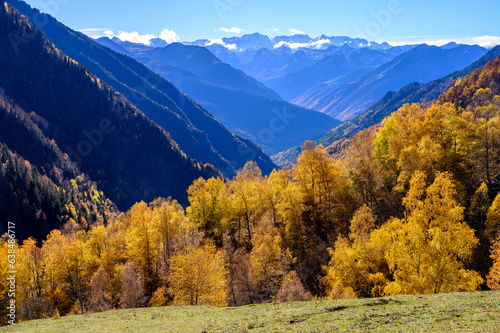 Automne dans le val d aran