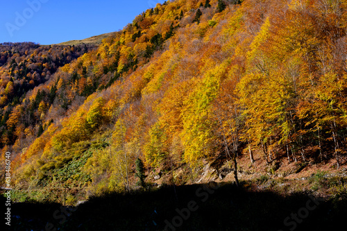 Automne dans le val d aran