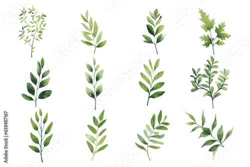 Set of watercolor green leaves elements. Collection botanical decoration isolated white background suitable for Wedding Invitation, Greeting card