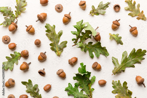 Branch with green oak tree leaves and acorns on colored background, close up top view photo