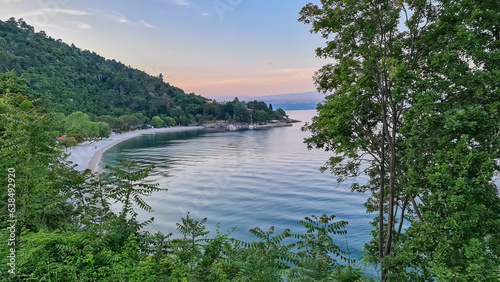 A panoramic view of the sea shore from a hill above Medveja, Croatia. A blossoming bush on the side. Lush green slopes around the coast. The coastal line is filled with small towns. Daybreak