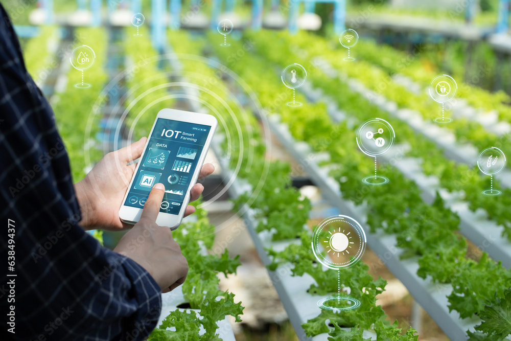 Smart farming agriculture concept. Man holding smartphone monitor and track agricultural produce through modern wireless networks. smart farming innovation, IoT. internet of things. Ai - obrazy, fototapety, plakaty 