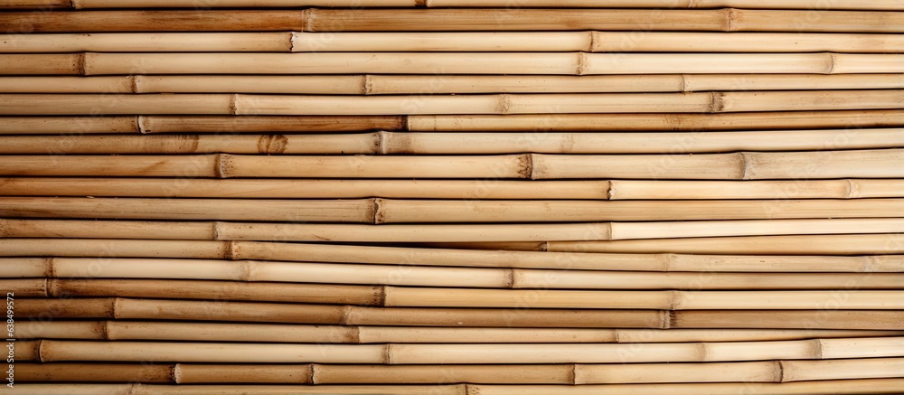Bamboo sticks in visible circle shape with cut ends Bamboo sticks in visible circle shape with cut ends