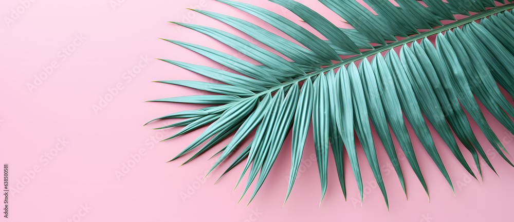 Green tropical palm leaf isolated on pink background