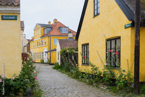 Bucolic and pretty streets in the village of Drag  r  in Denmark.