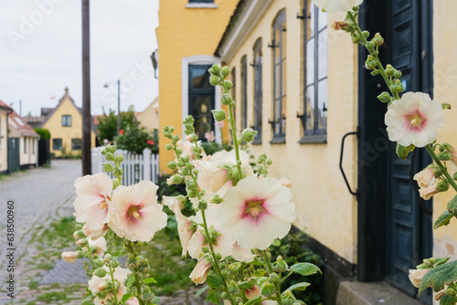 Bucolic and pretty streets in the village of Dragør, in Denmark. photo