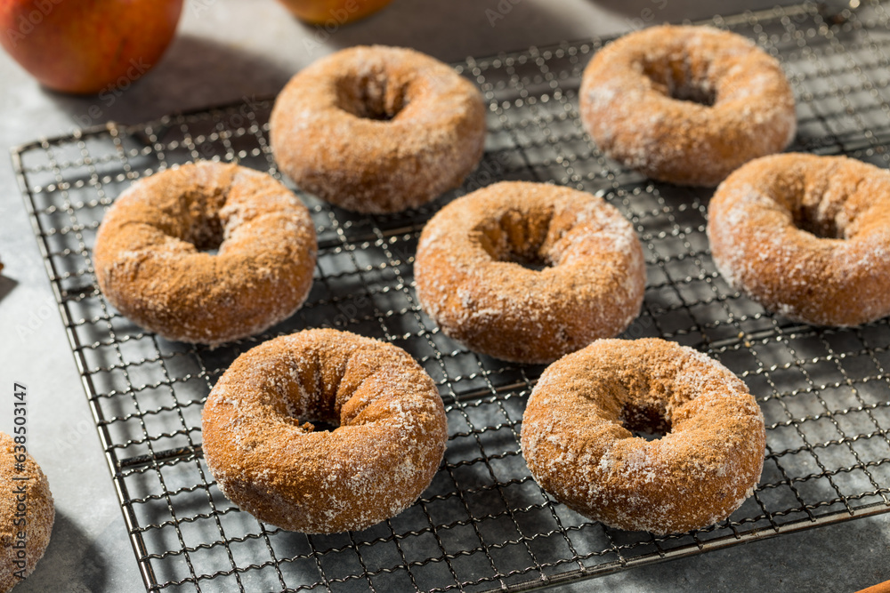 Sweet Homemade Apple Cider Donuts